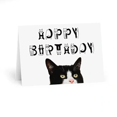 Image of Black and White Cat Happy Birthday Card Playful Lettering, Special Wishes for Lovers, Blank Inside a Personal Touch