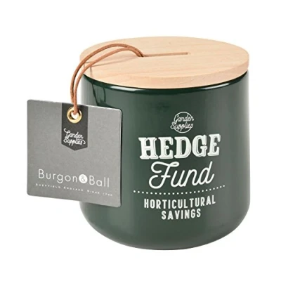 Image of Burgon &amp; Ball Hedge Fund Garden Money Saving Box in Frog Green