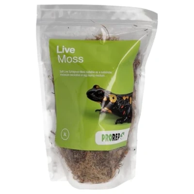 Image of ProRep Live Moss 3L Large Bag Amphibians and Invertebrates