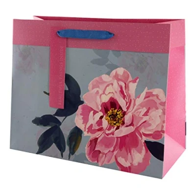 Image of Hallmark Multi Occasion Gift Bag Elegant Pink and Blue Floral Design