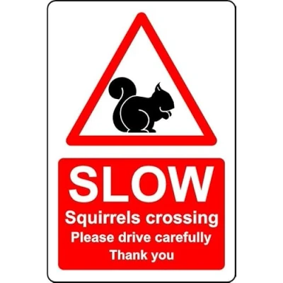 Image of Slow squirrels crossing please drive carefully safety sign 3mm Aluminium (200mm x 150mm)