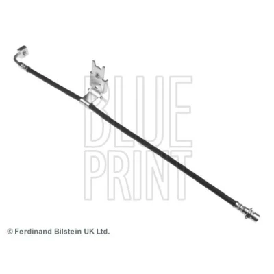 Image of 05140862AA, 5140862AA Brake Hose BLUE PRINT ADA105348 Front Axle Right 569mm CHRYSLER: 300C Saloon