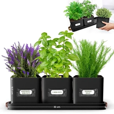 Image of Green Thumbz Herb Pots for Kitchen Windowsill Set of 3 Black Planter Indoor with Leather Handled Tray Ideal an Garden, Plants and Flowers Labels Included