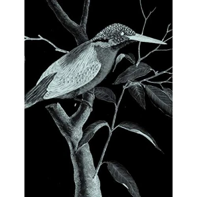 Image of Wee Blue Coo Kingfisher Illustration Night Art Print Canvas Premium Wall Decor Poster