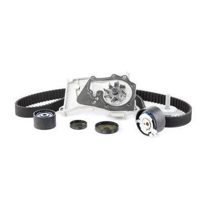 Image of 130703001R, 210100753R, 210101302R, 210105296R, 210105707R Water Pump + Timing Belt Kit SKF VKMC 06020 132 with rounded tooth profile Sheet Steel