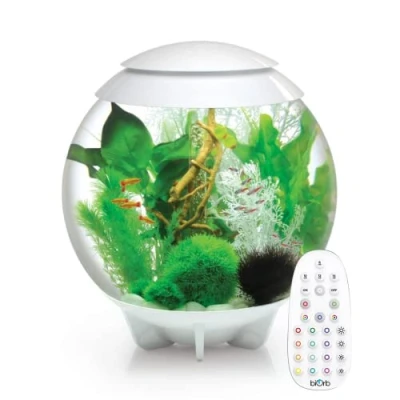 Image of BiOrb Halo 60L Aquarium in White with MCR LED Lighting