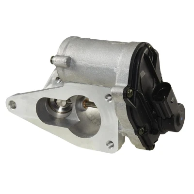 Image of 8200411031, 8200507299, 8200609274, 8200630740, 8200796571 EGR valve HELLA 6NU 014 864 121 Electric without gasket/seal RENAULT: MEGANE 2