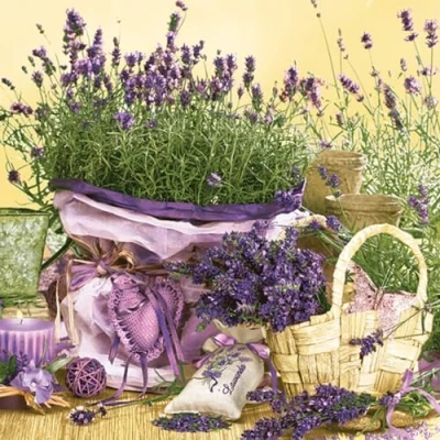 Image of 3 Ply Flowers Tissue Paper Napkins Serviettes for Decoupage Lunch 33 x 33cm Pack of 20 (Scent Lavender)