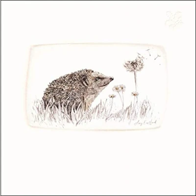 Image of Greeting Card &#039;Garden Guest&#039; National Trust Habitat Range 464089