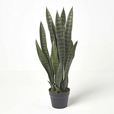 Image of HOMESCAPES Artificial Snake Plant 74 cm Tall Green Mother in Law’s Tongue Fake Black Pot