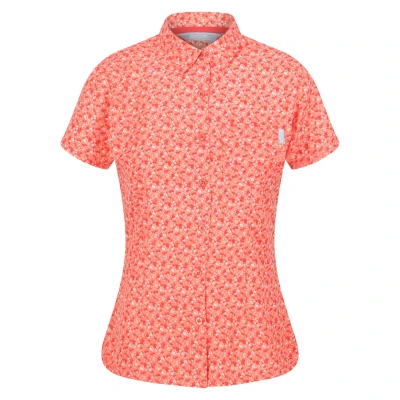Image of Regatta Womens/Ladies Mindano VI Ditsy Print Shirt (Fusion Coral) Size 10 UK