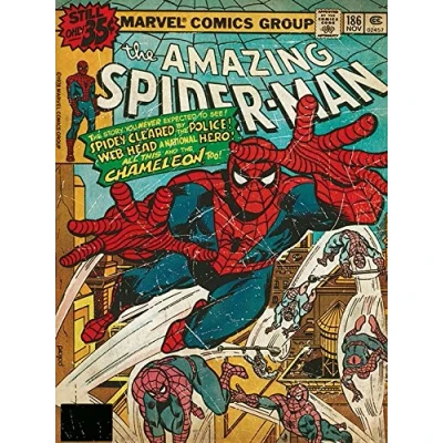 Image of Pyramid International Spider Man (Chameleon) Canvas Print 30 x 40cm, Wood, Multi Colour, 40 1.3 cm