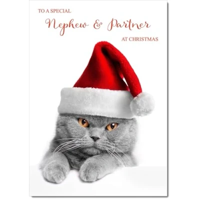 Image of doodlecards Nephew and Partner Christmas Card Grey Cat with Santa Hat Medium Size for &amp; Plain Envelope