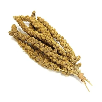 Image of Millet Sprays 2kg Premium Cage Bird Food Seed