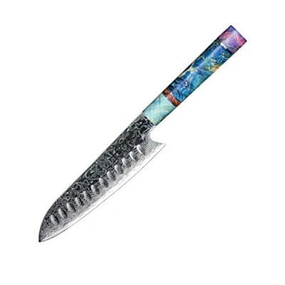 Image of hajegato Professional Japanese Chefs Kitchen Knife Unique Santoku 7&quot; Vg10 67 Layers Damascus Steel Knive with Sheath
