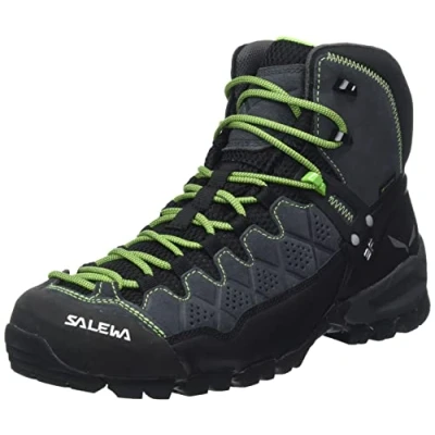 Image of SALEWA Ms Alp Trainer Mid Gtx, Onyx Pale Frog, 11.5, MALE