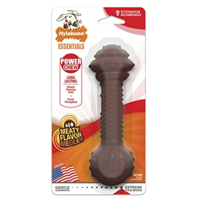 Image of Nylabone Medley Flavour Barbell Dog Chew Toy, Medium