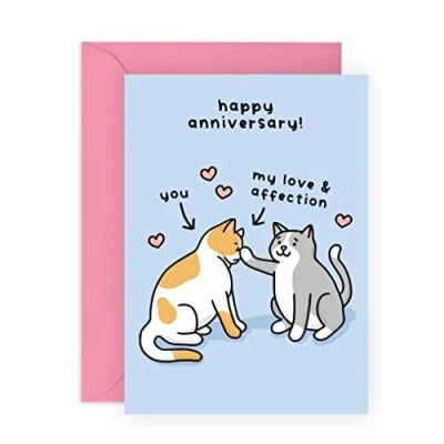 Image of Central 23 Anniversary Cards For Couple Cat Card Husband Wife Partner Themed Gifts Girlfriend Boyfriend Comes with Stickers