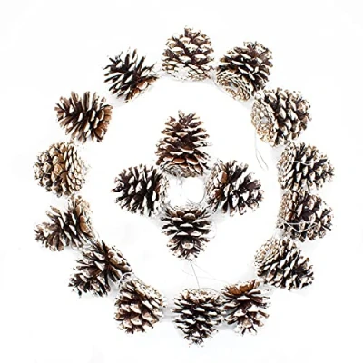 Image of TRIXES 18PC Snow Tipped Hanging Pine Cones Dusted Christmas Decorations Xmas Ornaments Tree White