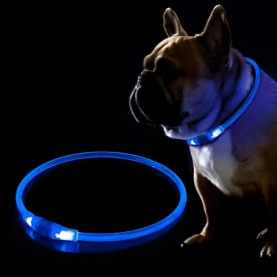 Image of 10 PCS LED Dog Collar, USB Rechargeable Flashing Collar for Night Safety, Adjustable, Waterproof, Bright Illuminated Dogs, One Size Fits All, Blue