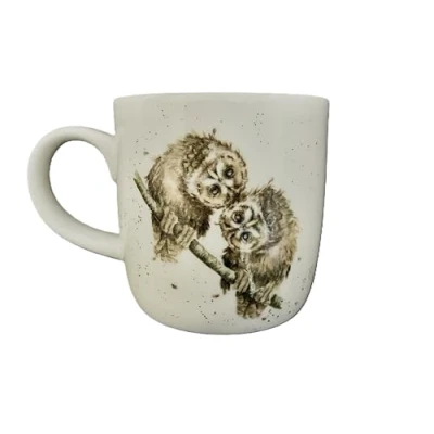 Image of Royal Worcester Wrendale Deigns Two Heads are Better Than One Owl 0.3 Litre Mug