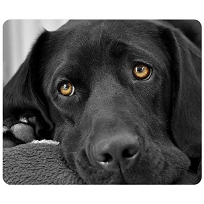 Image of Customized Rectangle Mousepad, Mouse Pad Sad Black Labrador