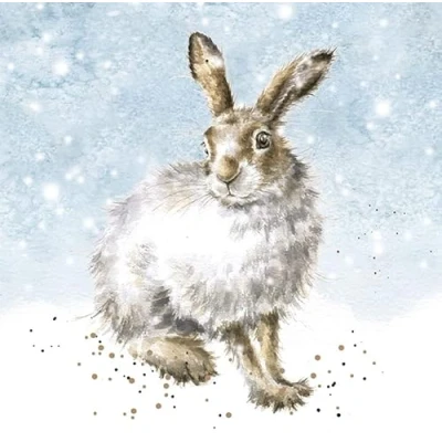 Image of Wrendale Designs by Hannah Dale Winter Hare Christmas Card Box Set Pack of 8