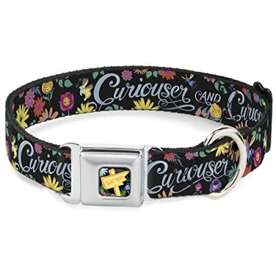 Image of Buckle Down Dog Collar Seatbelt Curiouser and Flowers of Wonderland Collage, Multicolor, 1&quot; Wide Fits 11 17&quot; Neck Medium (DC WDY300 M)