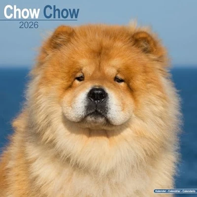 Image of Chow Calendar 2026