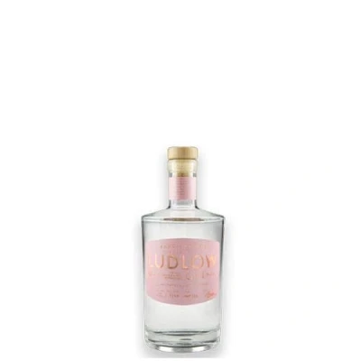 Image of Ludlow NO.4 Hibiscus, Orange &amp; Pink Peppercorn Gin 5cl 42% ABV