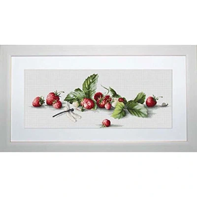 Image of Lucas S Strawberries Counted Cross Stitch Kit, Pack of 1