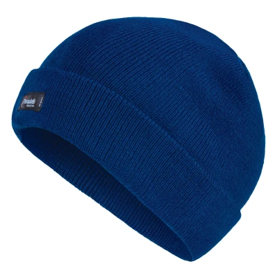 Image of Regatta Professional RG1531 men&#039;s Beanie in Blue
