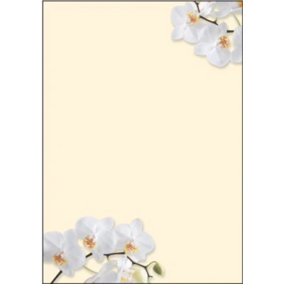 Image of SIGEL DP904 Writing paper &quot;White Orchid&quot;, A4, 90 gsm, 50 sheets