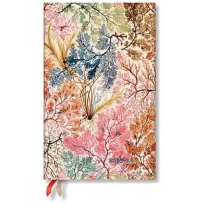 Image of Paperblanks 18 Month Diaries 2023 2024 Anemone Vertical Maxi (135 x 210 mm)