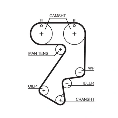 Image of 1356879105 Timing Belt GATES FleetRunner Micro V Stretch Fit 5404XS 177 1416mm 25mm TOYOTA: Celica VI Coupe