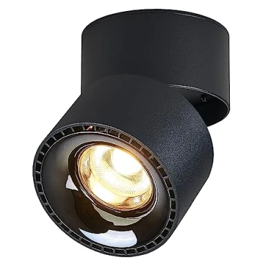 Image of Budbuddy 12W LED Ceiling Spotlights Rotatable Swivel Wall Spots Black Lighting Modern Interior Spotlamps for Corridor Living Room Office Shop and More 3000K