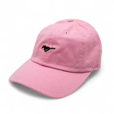 Image of American Needle Ford Mens Micro Slouch Snapback Hat, O/S, Chix Pink