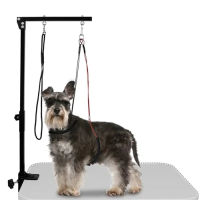 Image of LEIBOU Foldable Pet Grooming Arm with Clamp, Dog Loop Noose &amp;Two No Sit Haunch Holder for Medium &amp; Small Pets 36 Height Adjustable (Single Arm)