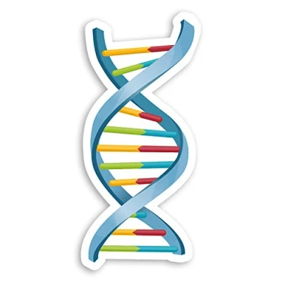 Image of 2 x 10cm DNA Double Helix Vinyl Stickers Science Biology Uni Sticker #29056