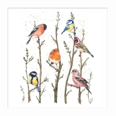 Image of Woodmansterne Artistic Blank Card From British Garden Birds on Branches Watercolour Illustration By Maria Belen Galizzi Suitable For Birthdays And Other Occasions