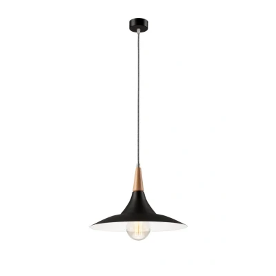 Image of Dome Pendant Ceiling Lights Black, 1x E27