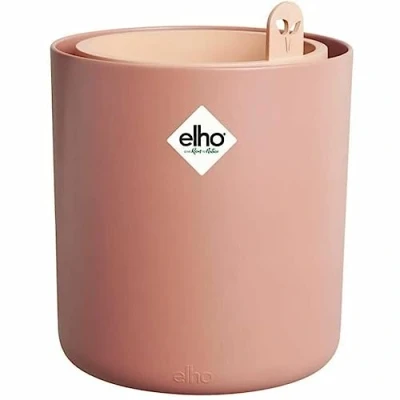 Image of Elho Bouncy Basil Toffee Terra