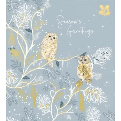 Image of Charity Christmas Cards Pack of 5 Sold in Aid the National Trust Special Finish Artistic Wintry Design Owls Snow Made UK Eco Friendly