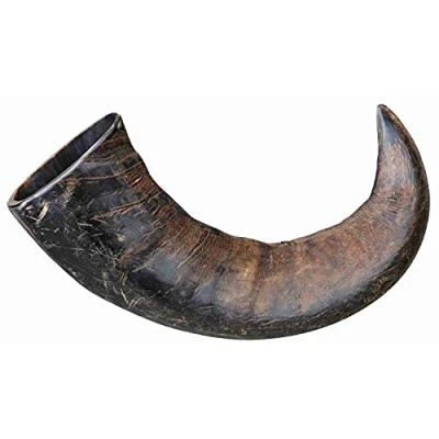 Image of Trixie Genuine Buffalo Chewing Horn for Dogs, Large