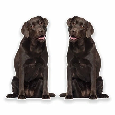 Image of 2 x 10cm Chocolate Labrador Vinyl Stickers Decals Laptop Car Bike Dog Gift #9634 (6cm Wide Tall)