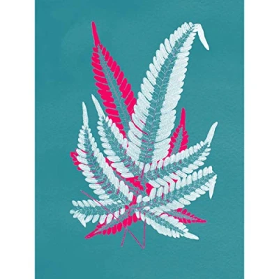 Image of Wee Blue Coo Bright Coloured Fern Teal Pink Large Wall Art Print Canvas Premium Poster