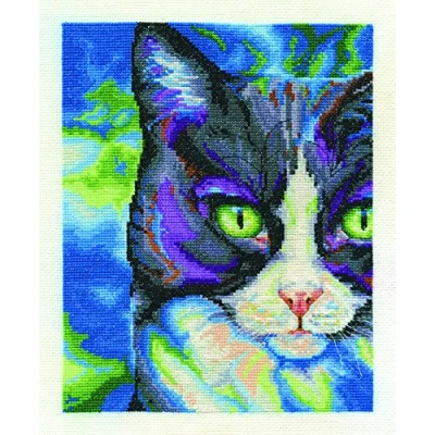 Image of DMC &quot;Snowshoe 14 Count Cross Stitch Kit, Multi Colour