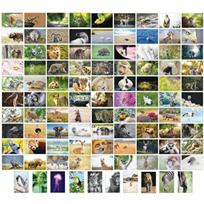Image of Bear and Bee 100 Animal Postcards with Different Motifs Animals (100 Photo Cards)