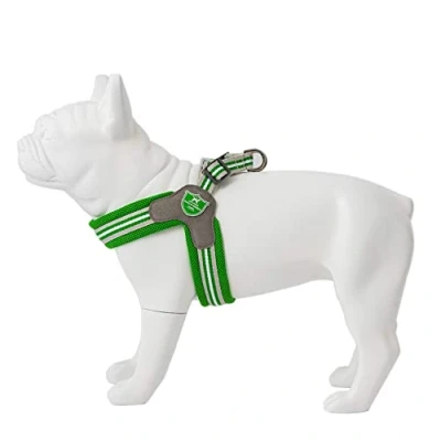 Image of HUGO &amp; HUDSON Easy Walk Dog Harness Adjustable No Pull Step in Training Vest, Green, Size 9