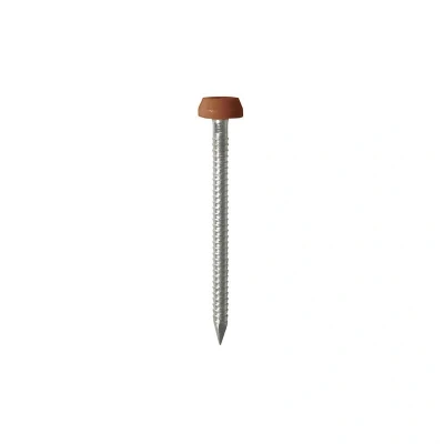 Image of 3x TIMCO Polymer Headed Pins A4 Stainless Steel Clay Brown PP40CB Pack of 250